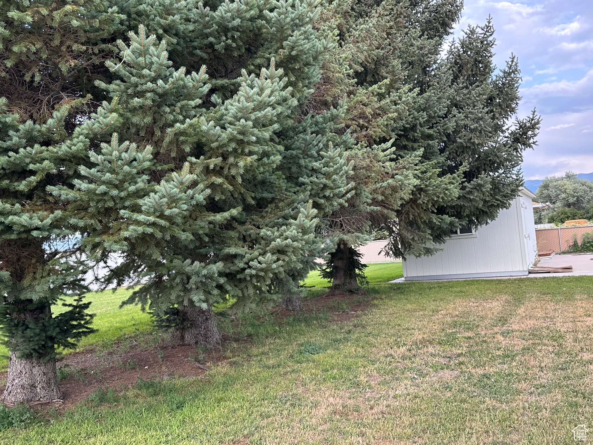 DAILEY MINOR - Residential