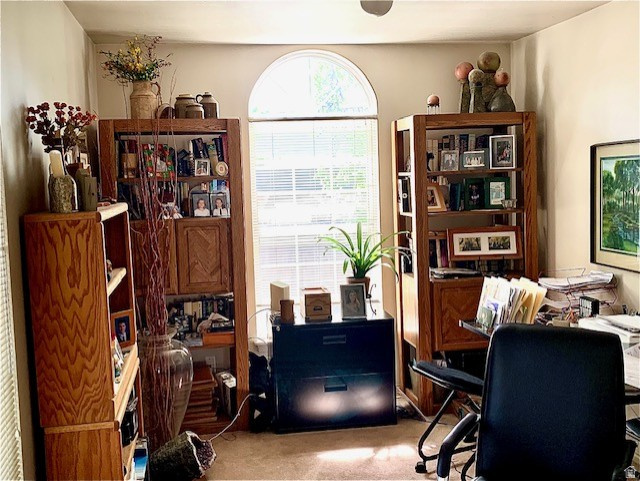 PLUM TREE COURT - Residential