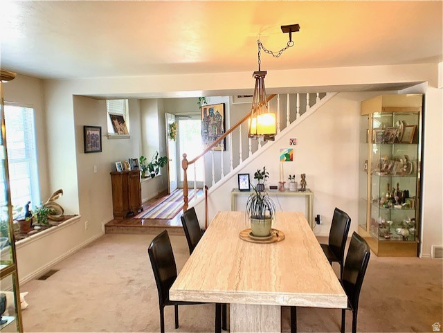 PLUM TREE COURT - Residential