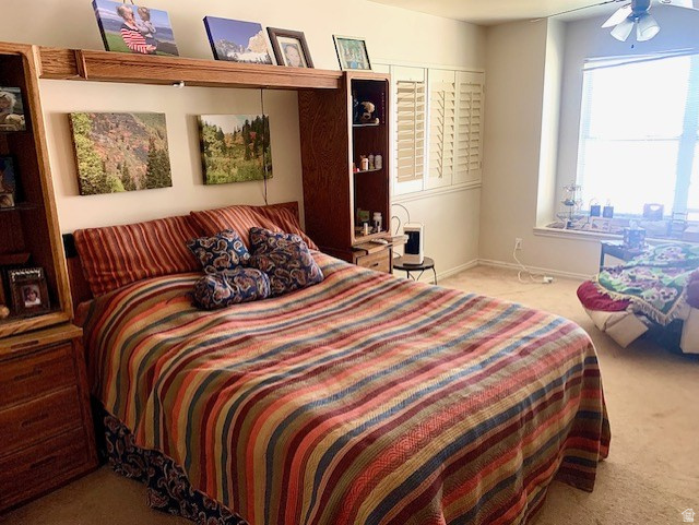 PLUM TREE COURT - Residential