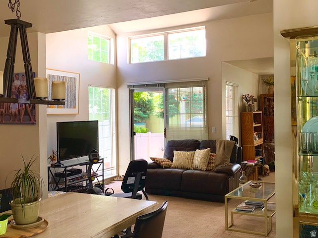 PLUM TREE COURT - Residential