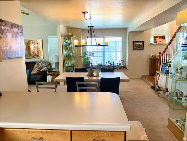 PLUM TREE COURT - Residential