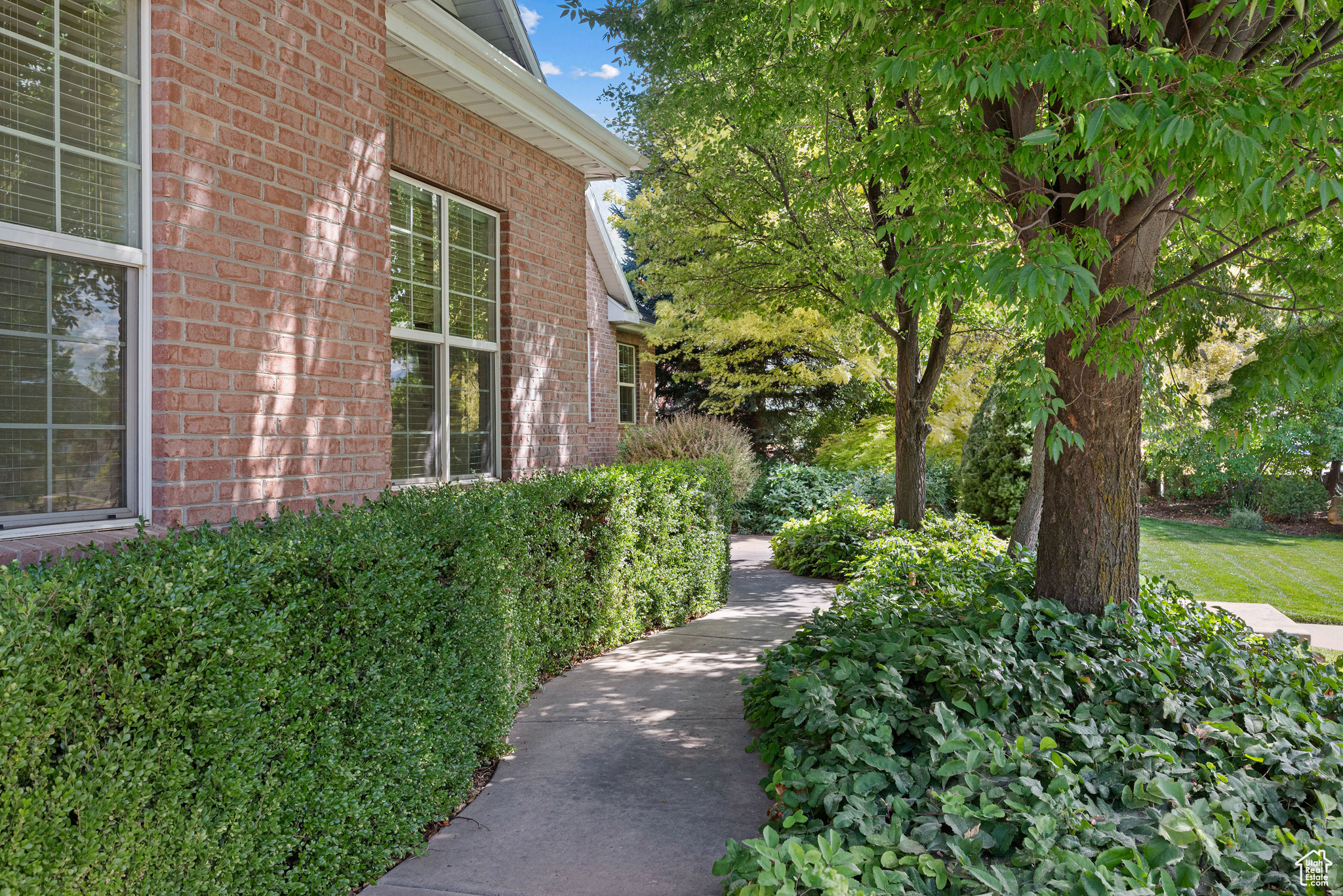 VINEYARD - Residential