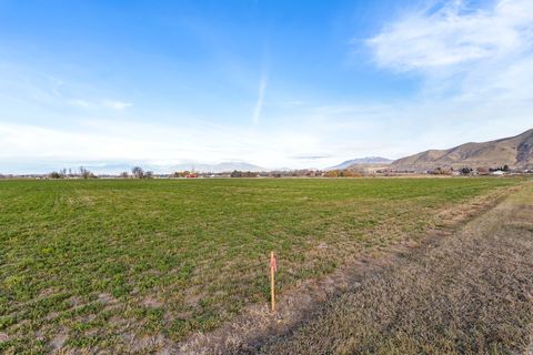 Tiny photo for Payson, UT 84651 (MLS # 2125656)