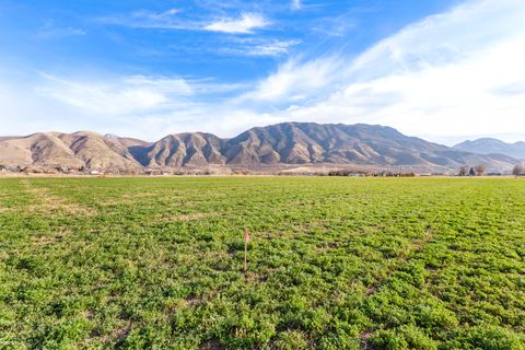 Tiny photo for Payson, UT 84651 (MLS # 2125656)