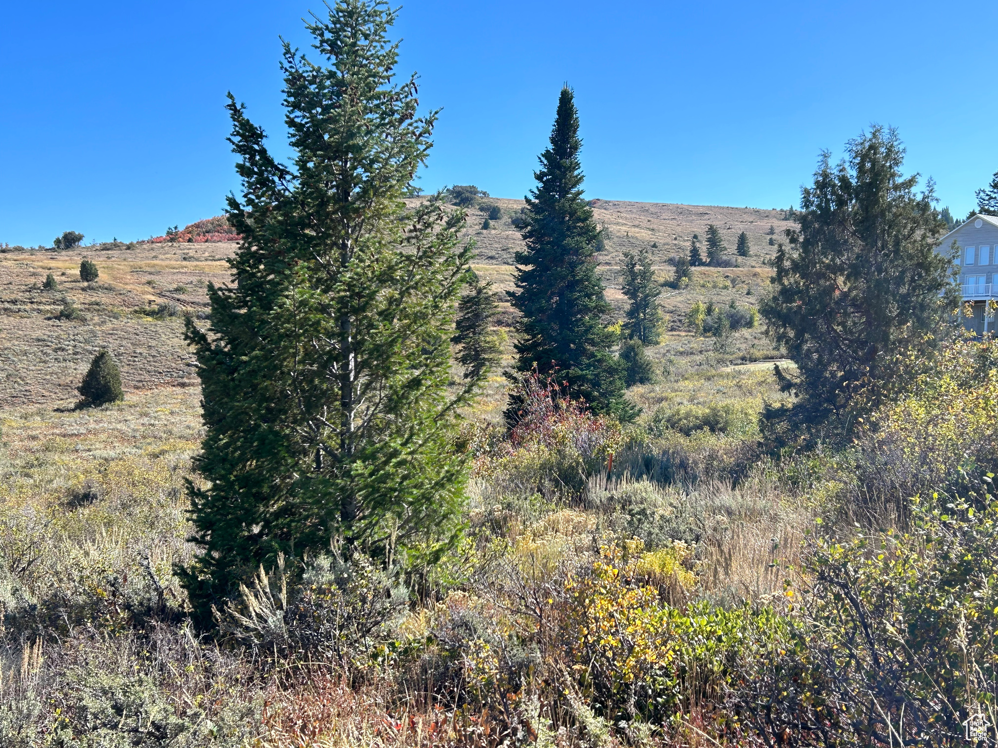 BRIDGERLAND VILLAGE PLAT E PHASE 3 - Land