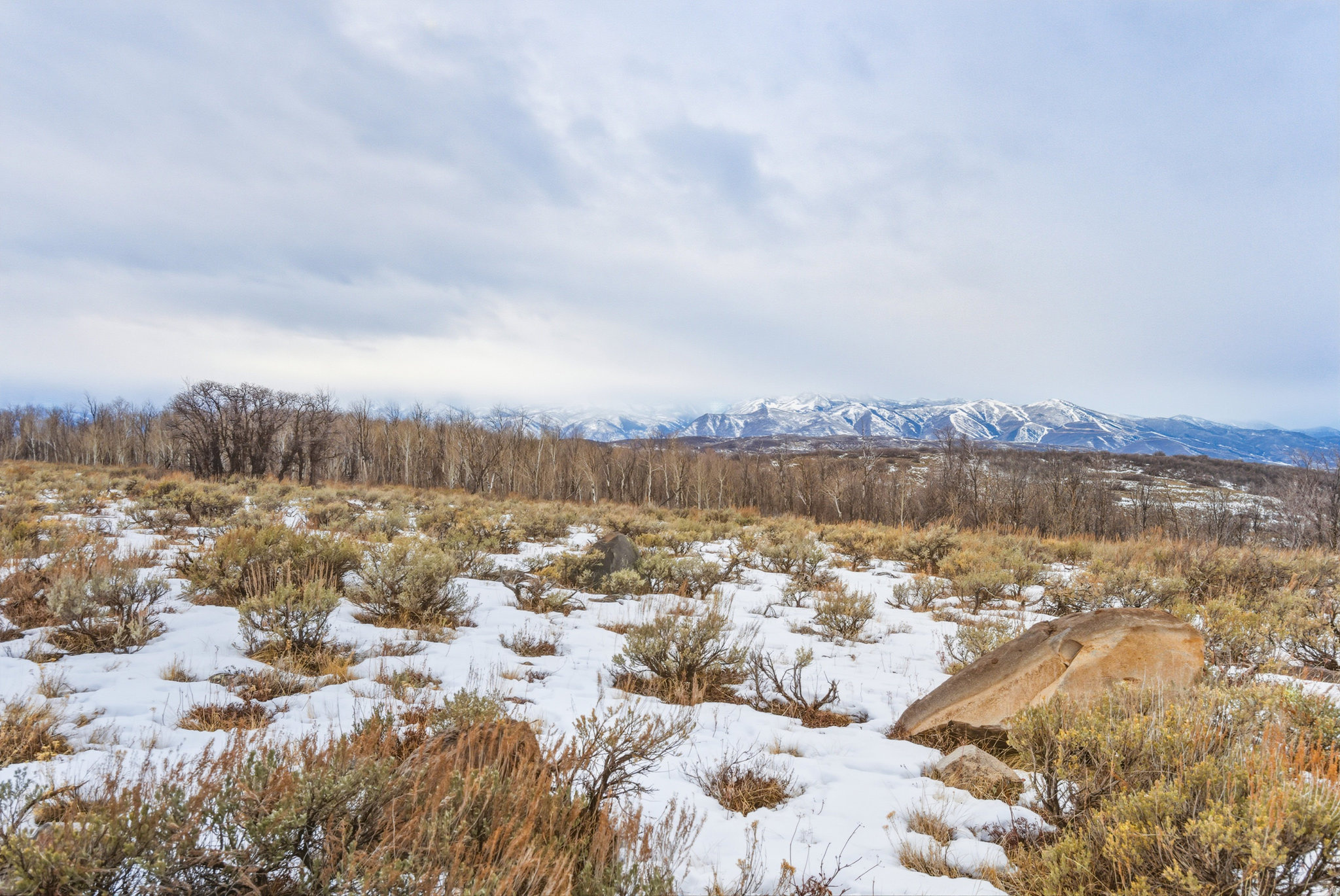 WOLF CREEK RANCH - Land