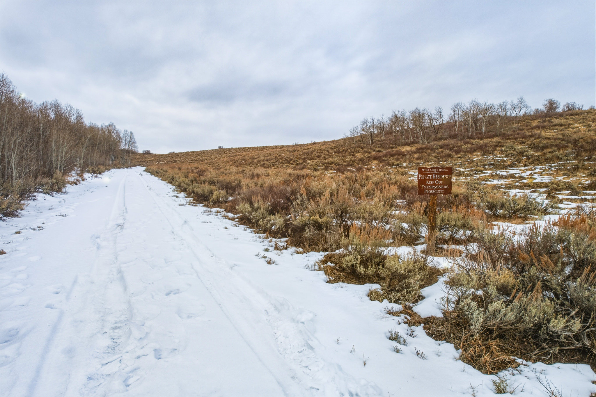 WOLF CREEK RANCH - Land