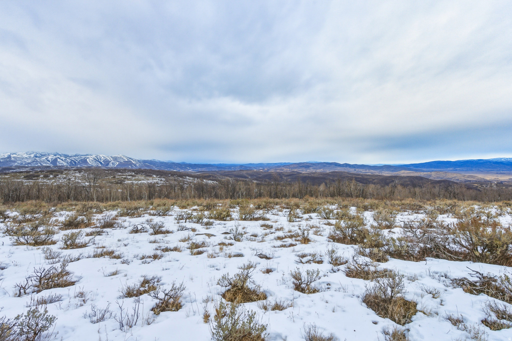 WOLF CREEK RANCH - Land