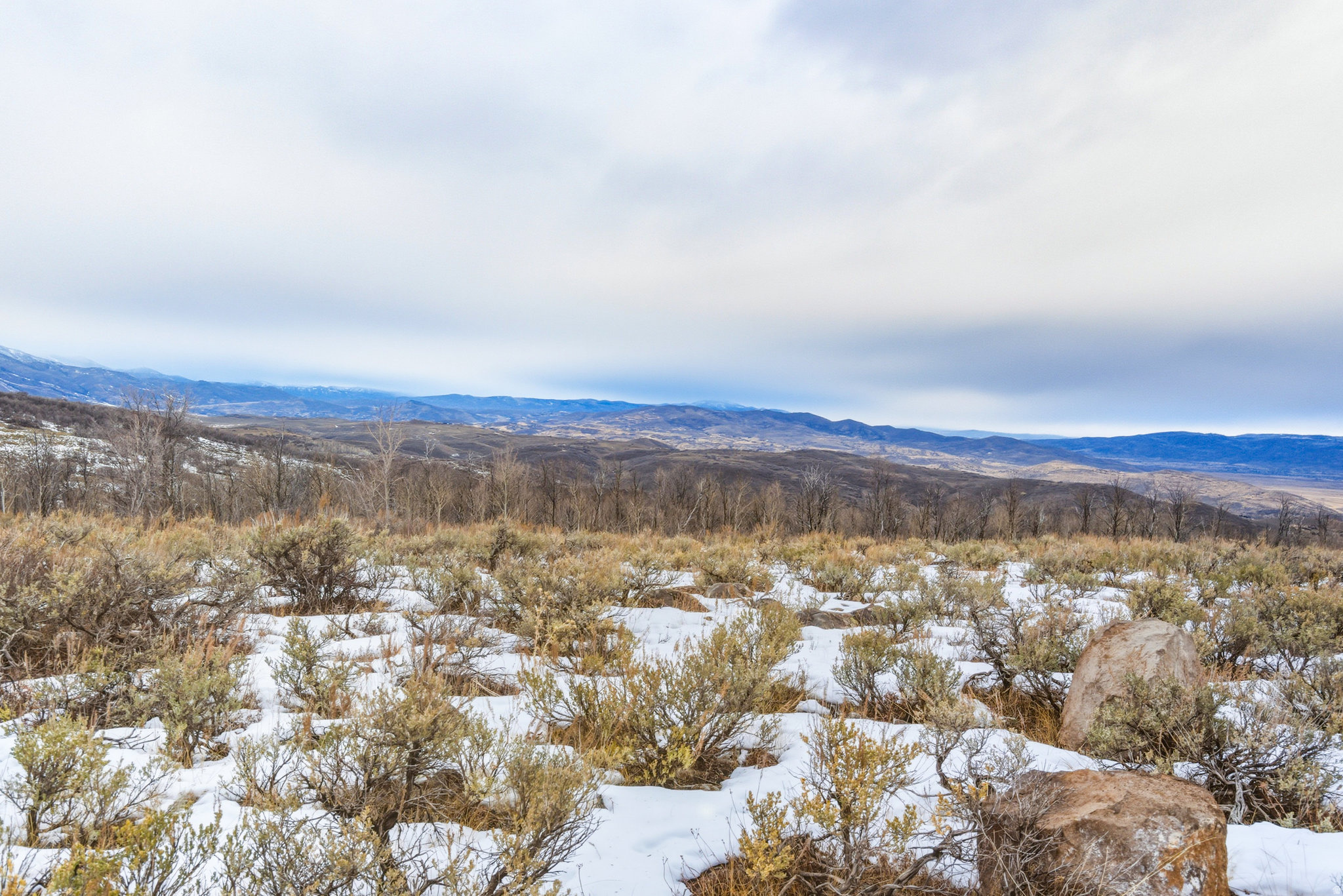 WOLF CREEK RANCH - Land