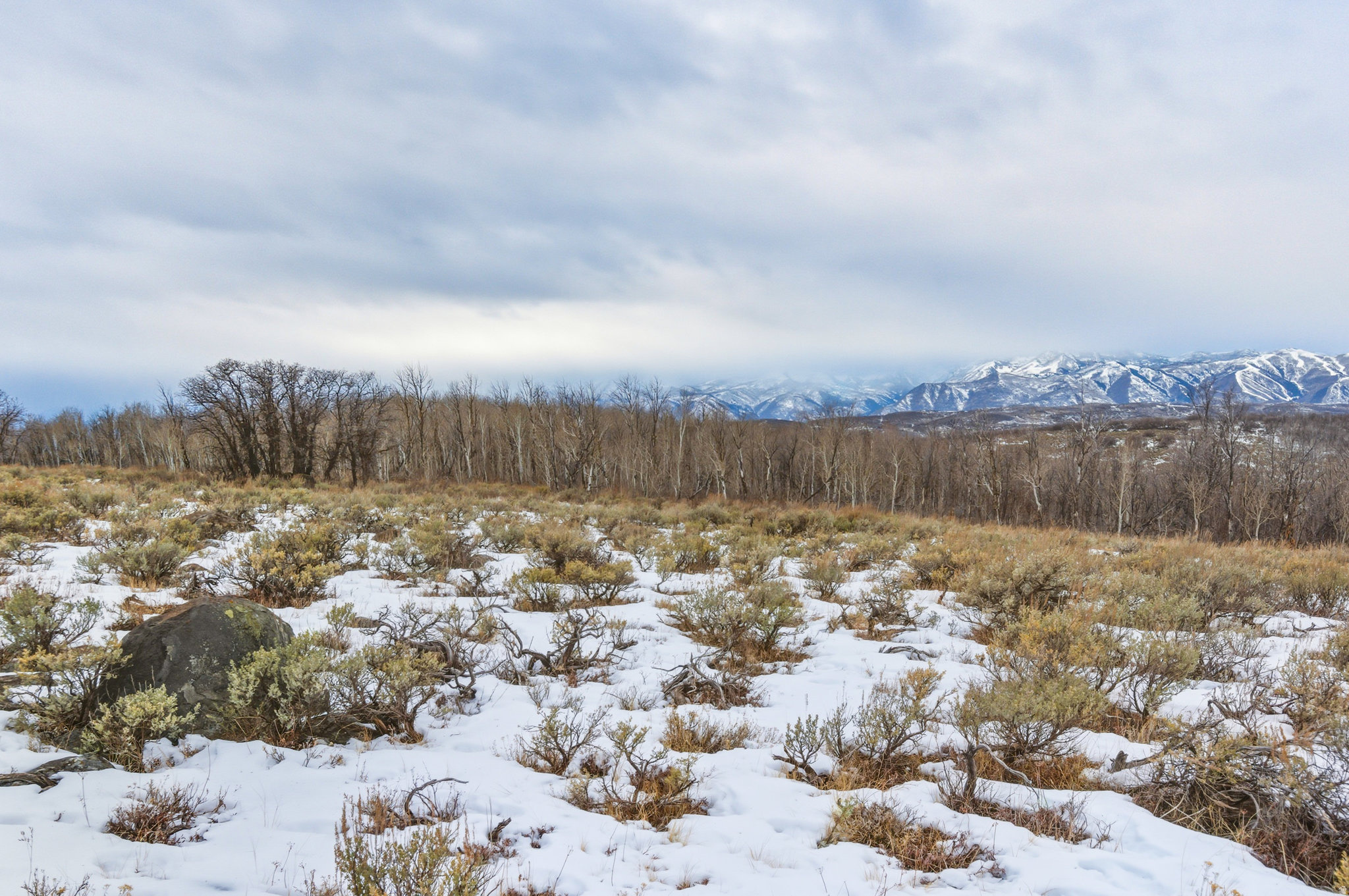 WOLF CREEK RANCH - Land