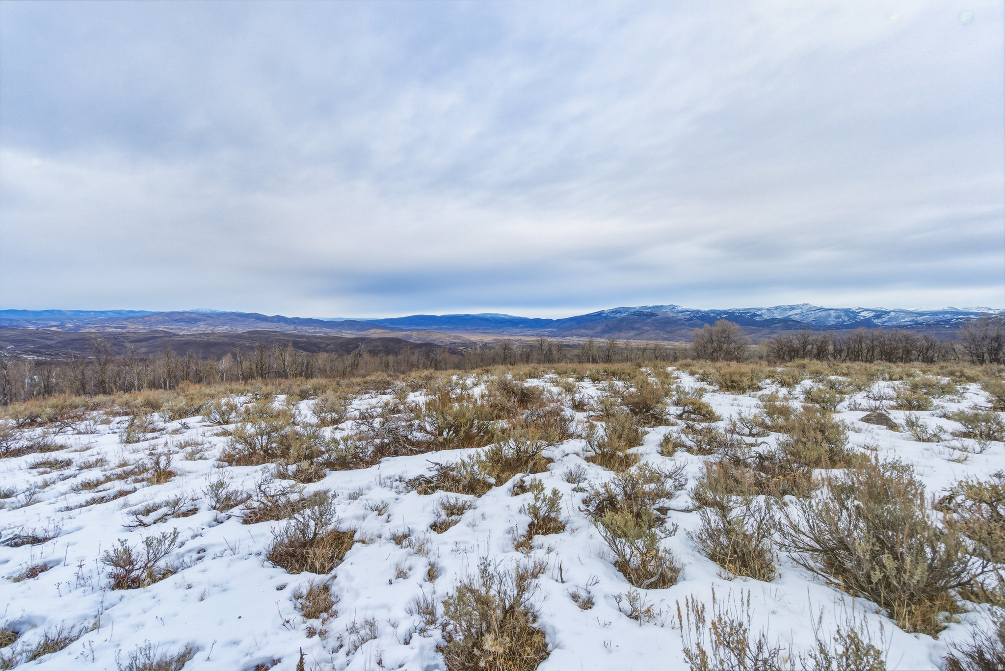 WOLF CREEK RANCH - Land