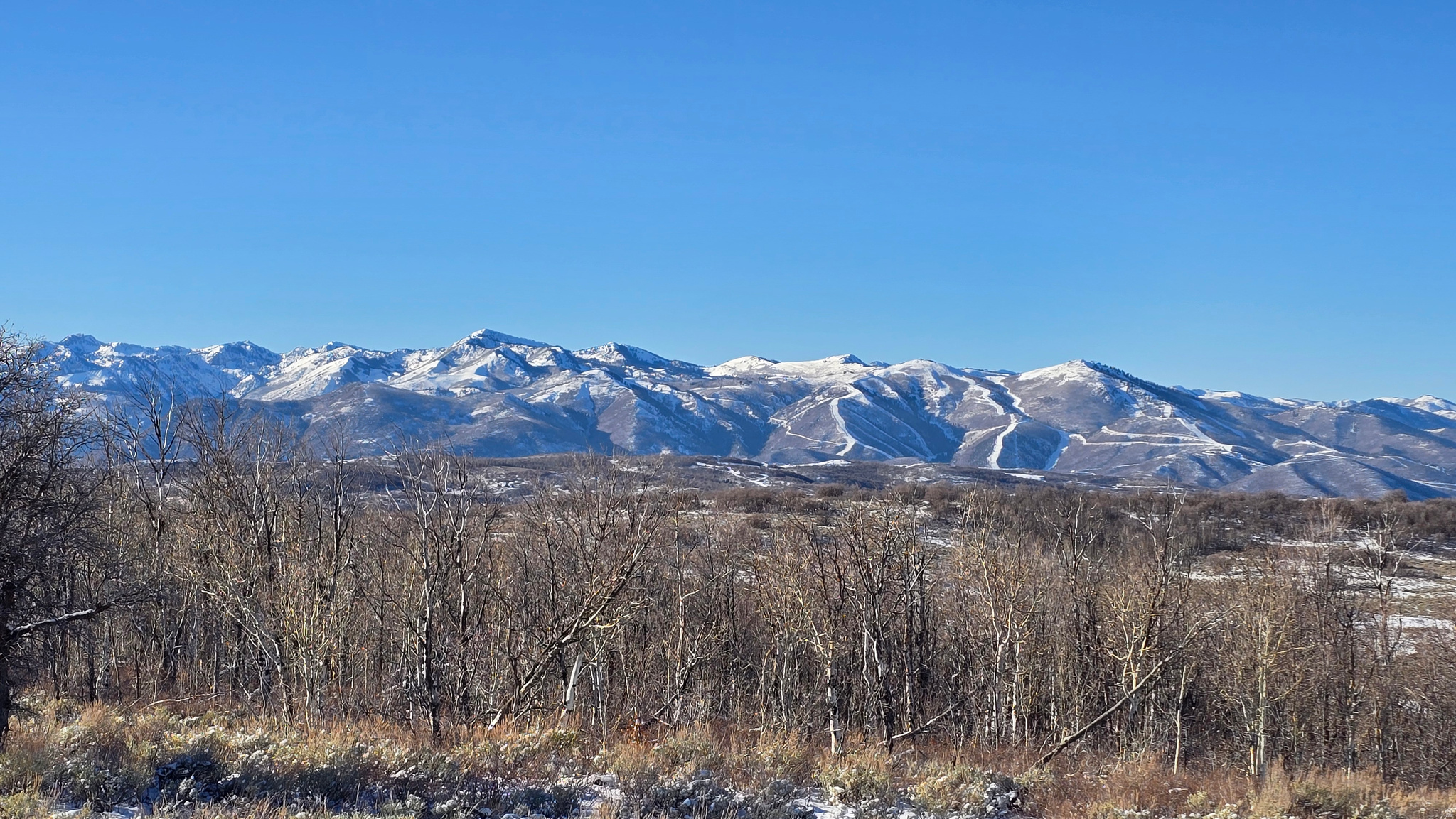 WOLF CREEK RANCH - Land