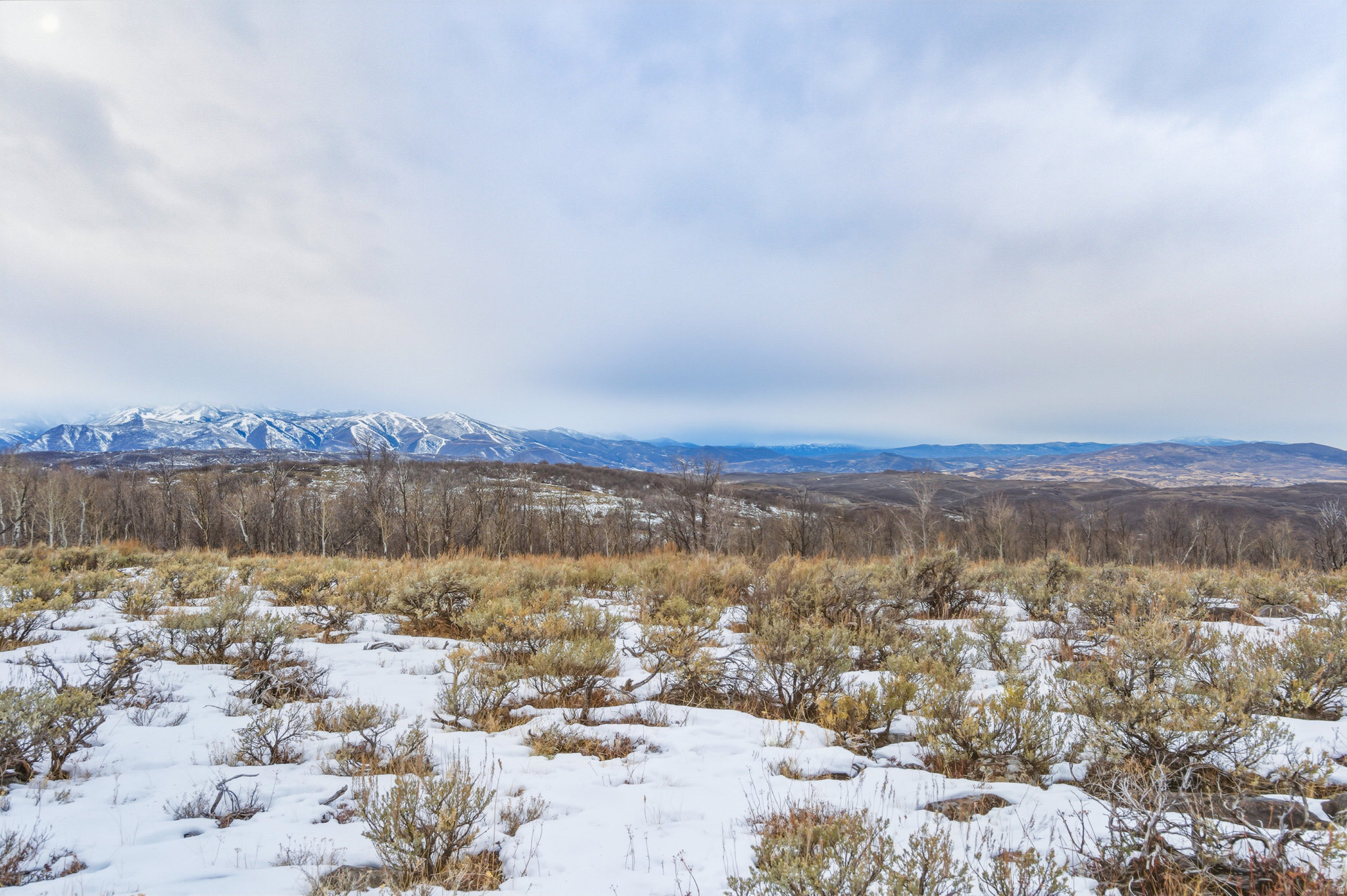 WOLF CREEK RANCH - Land