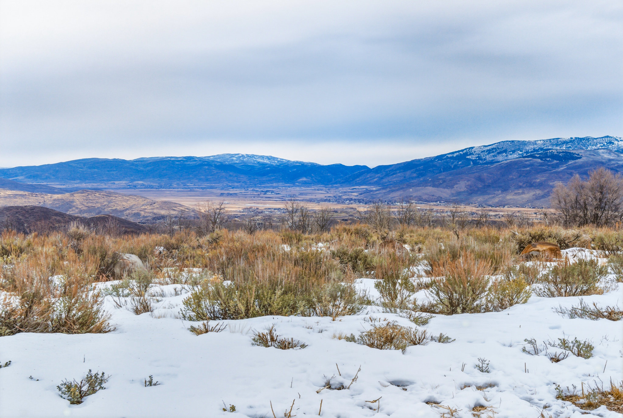 WOLF CREEK RANCH - Land