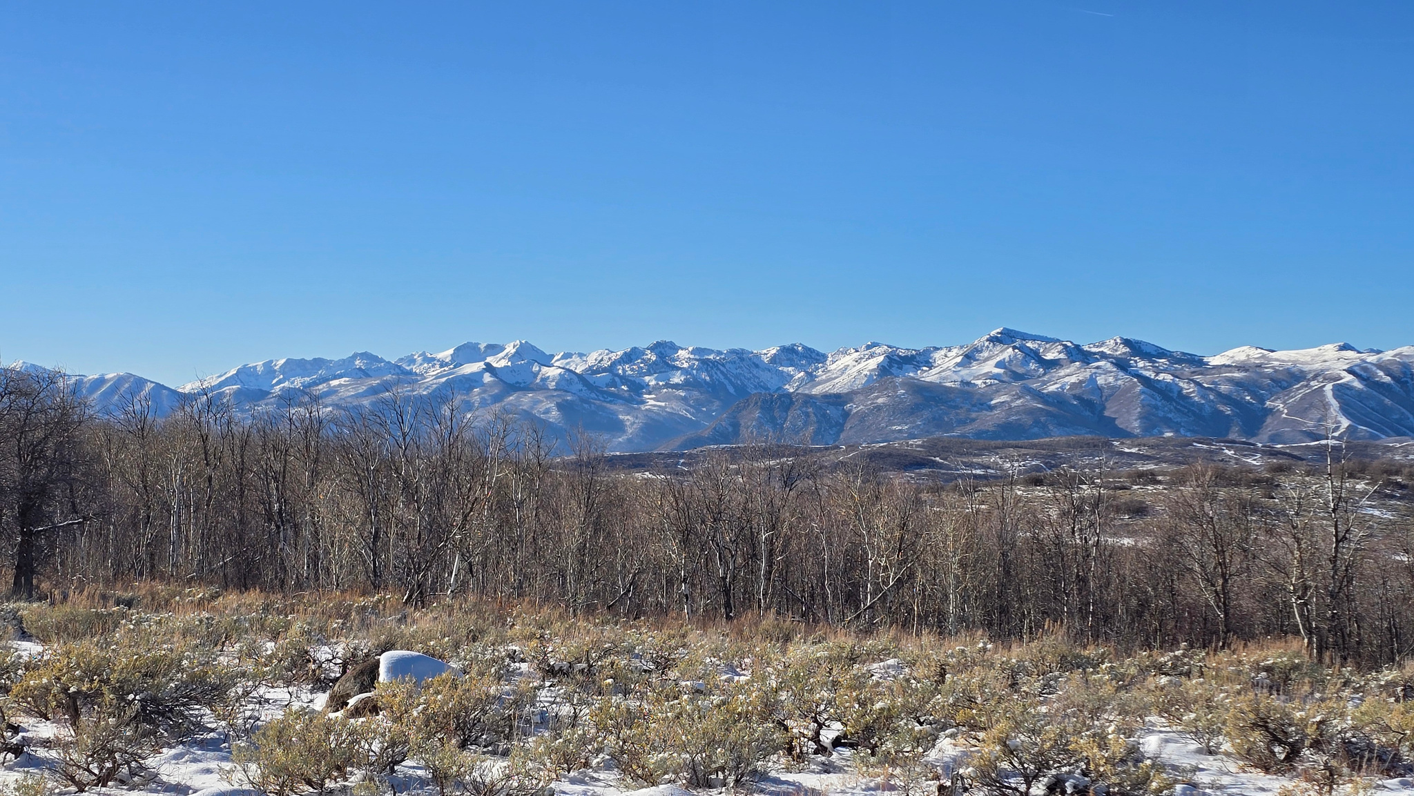 WOLF CREEK RANCH - Land