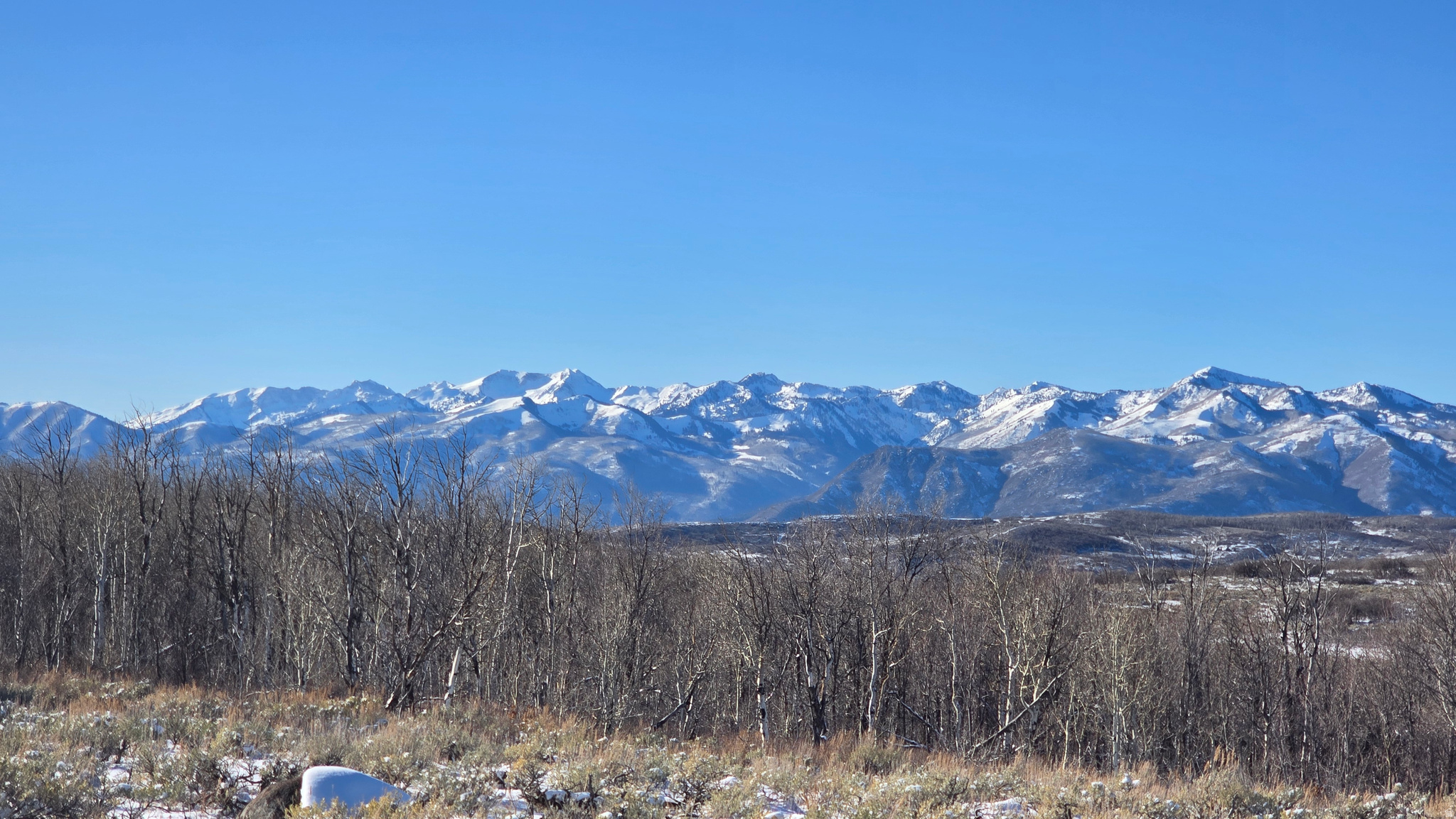 WOLF CREEK RANCH - Land