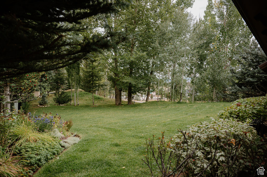 VALAIS P.U.D - Residential