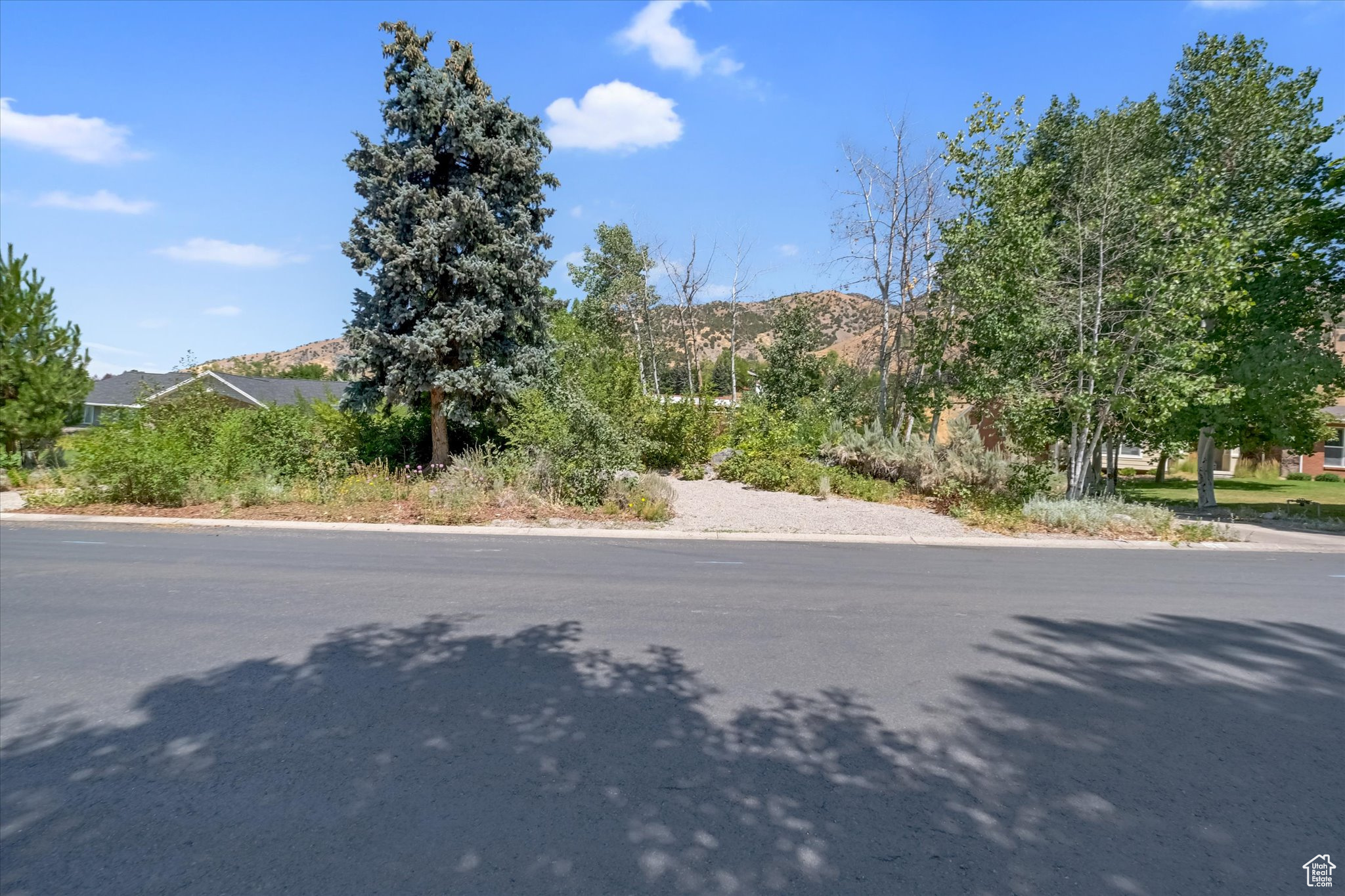 EDGEWOOD HALL ESTATES - Residential