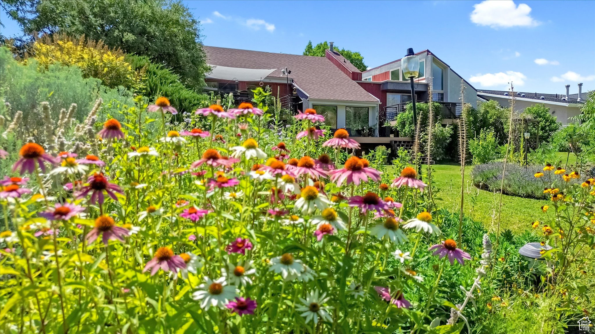 EDGEWOOD HALL ESTATES - Residential