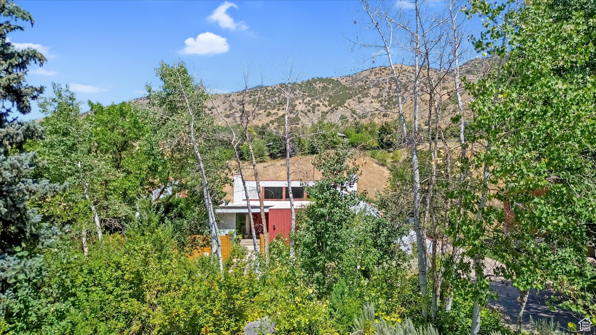 EDGEWOOD HALL ESTATES - Residential