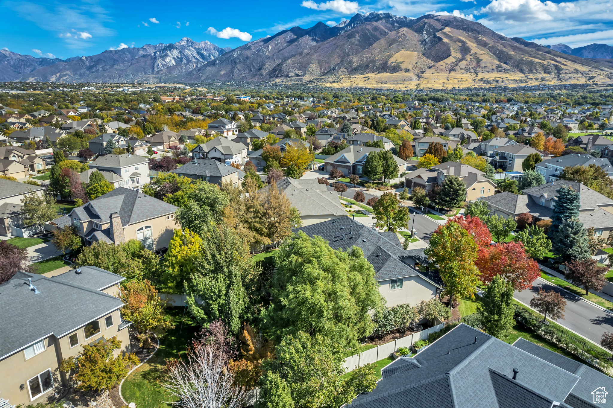 BELLEVUE - Residential