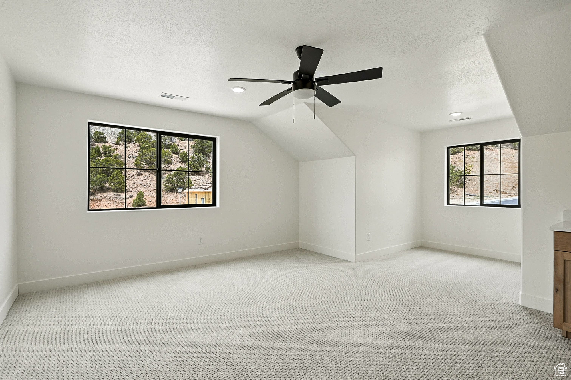 SADDLEBACK RIDGE - Residential