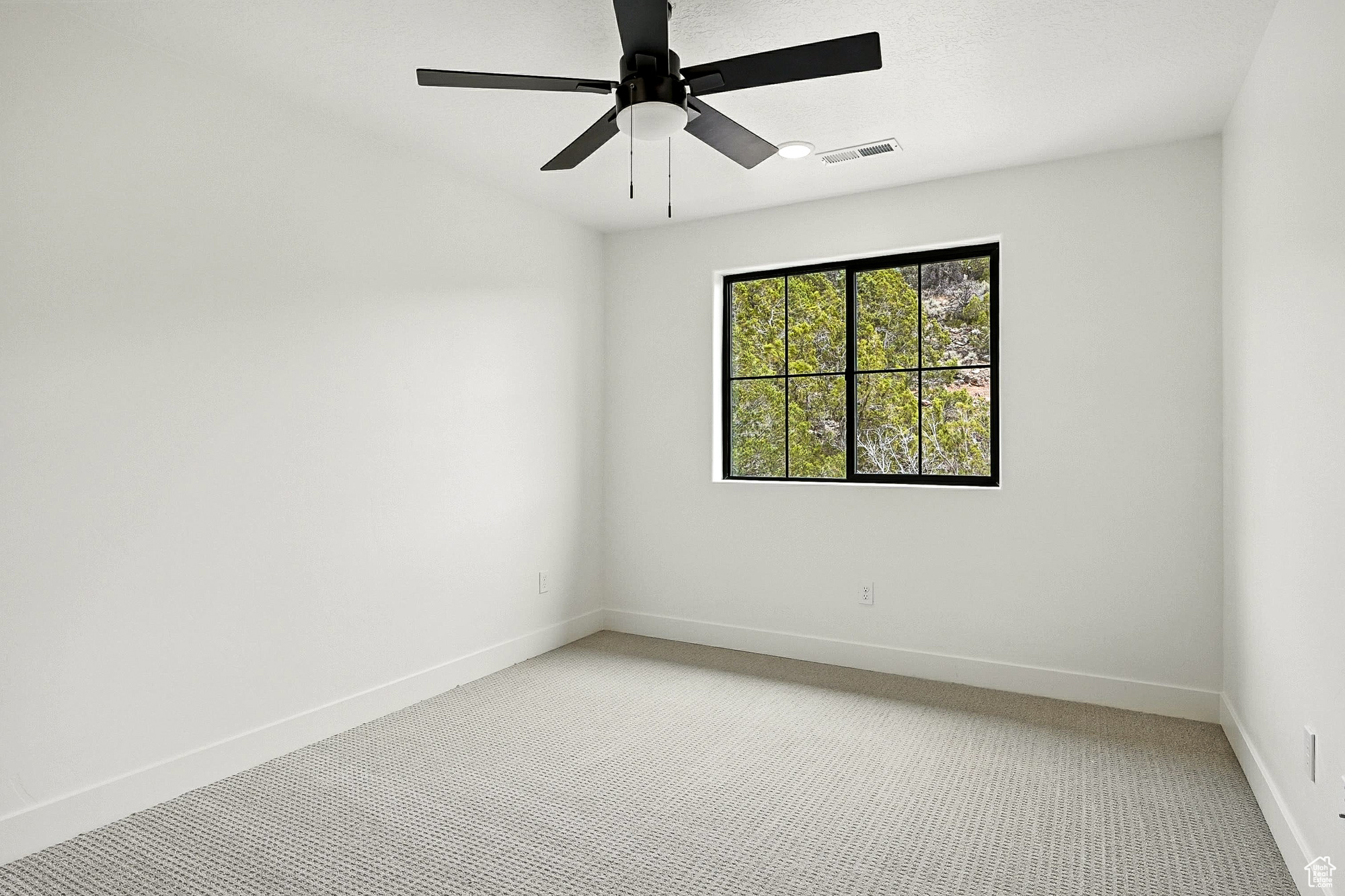 SADDLEBACK RIDGE - Residential