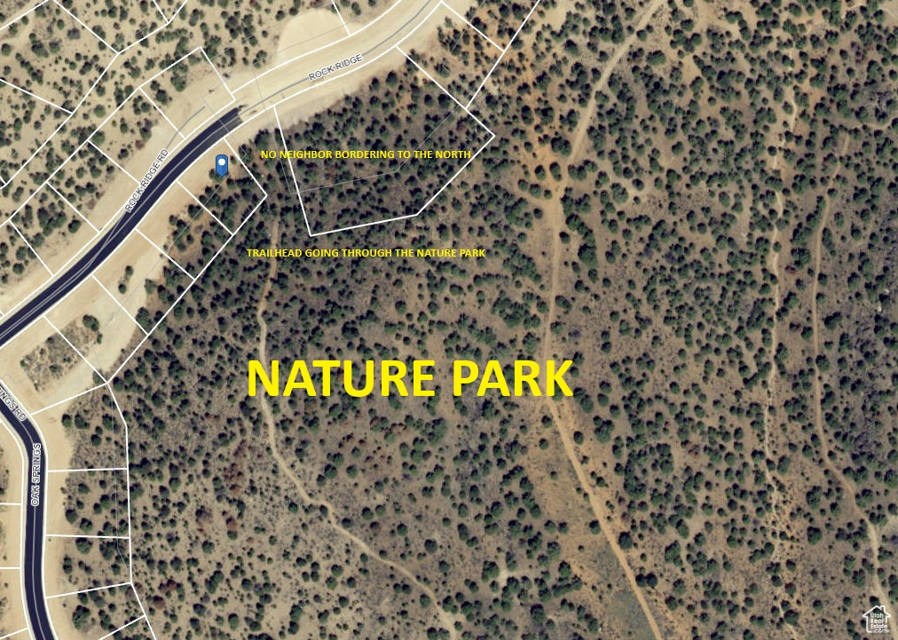 SADDLEBACK RIDGE - Residential