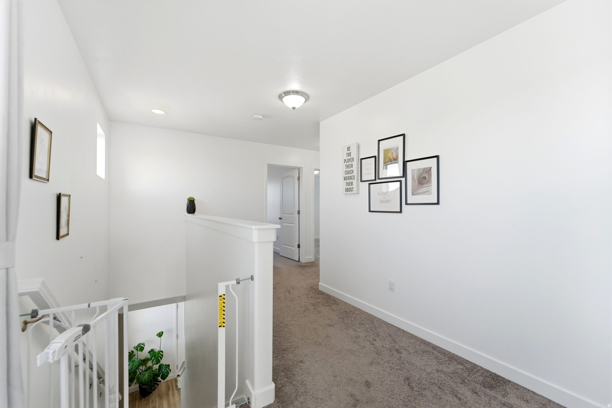 MEADOWS - Residential