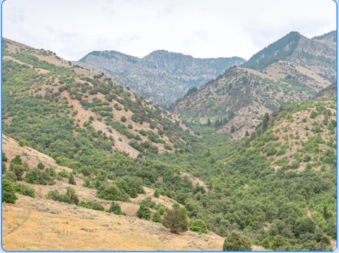 Vacant Land For Sale - Land<br/> Hyde Park, UT 84318