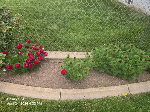 Tiny photo for 1358 CROSS ST, Ogden, UT 84404 (MLS # 2153379)