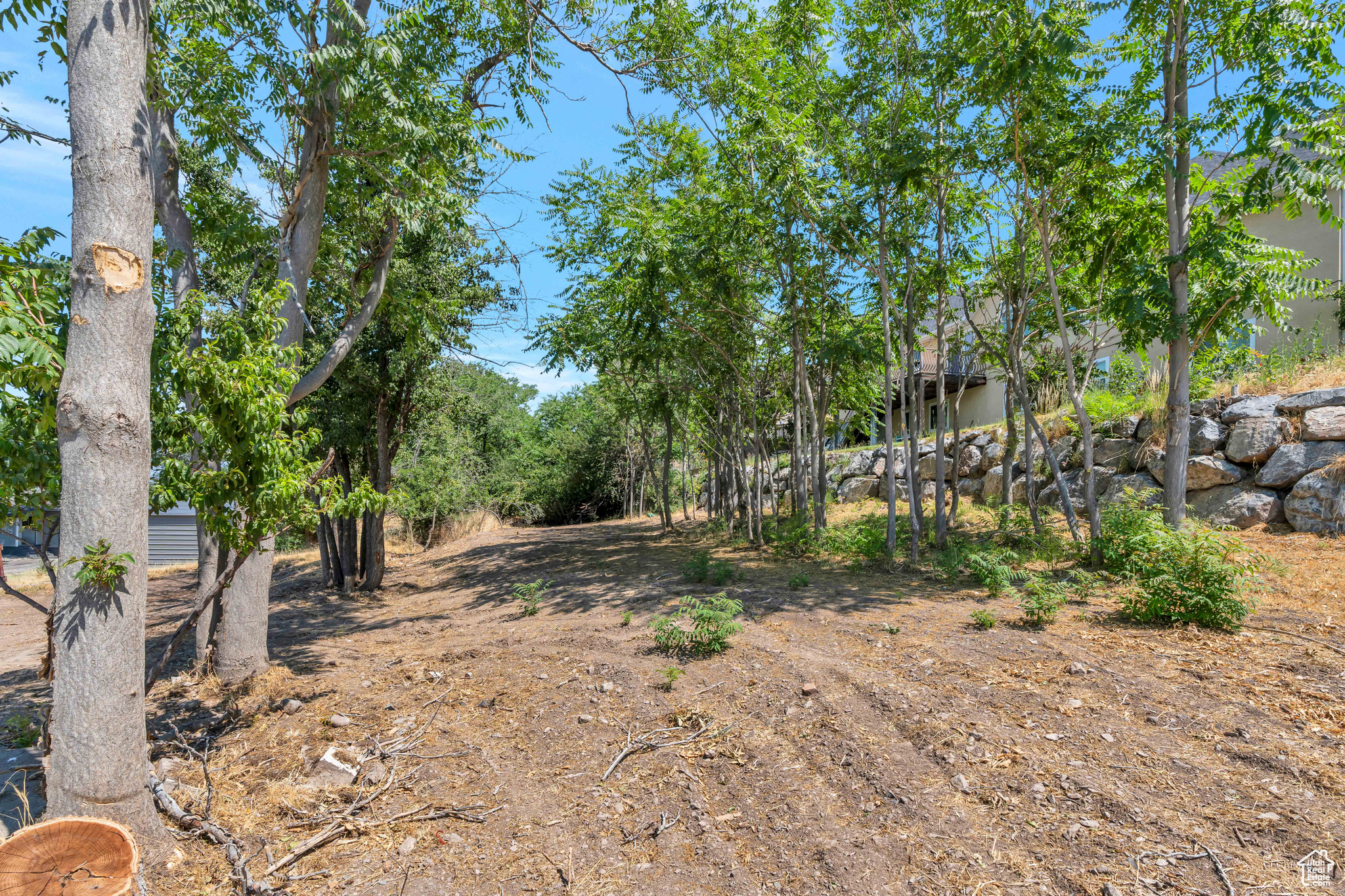 9550 N Canyon Rd, Cedar Hills, Utah image 47