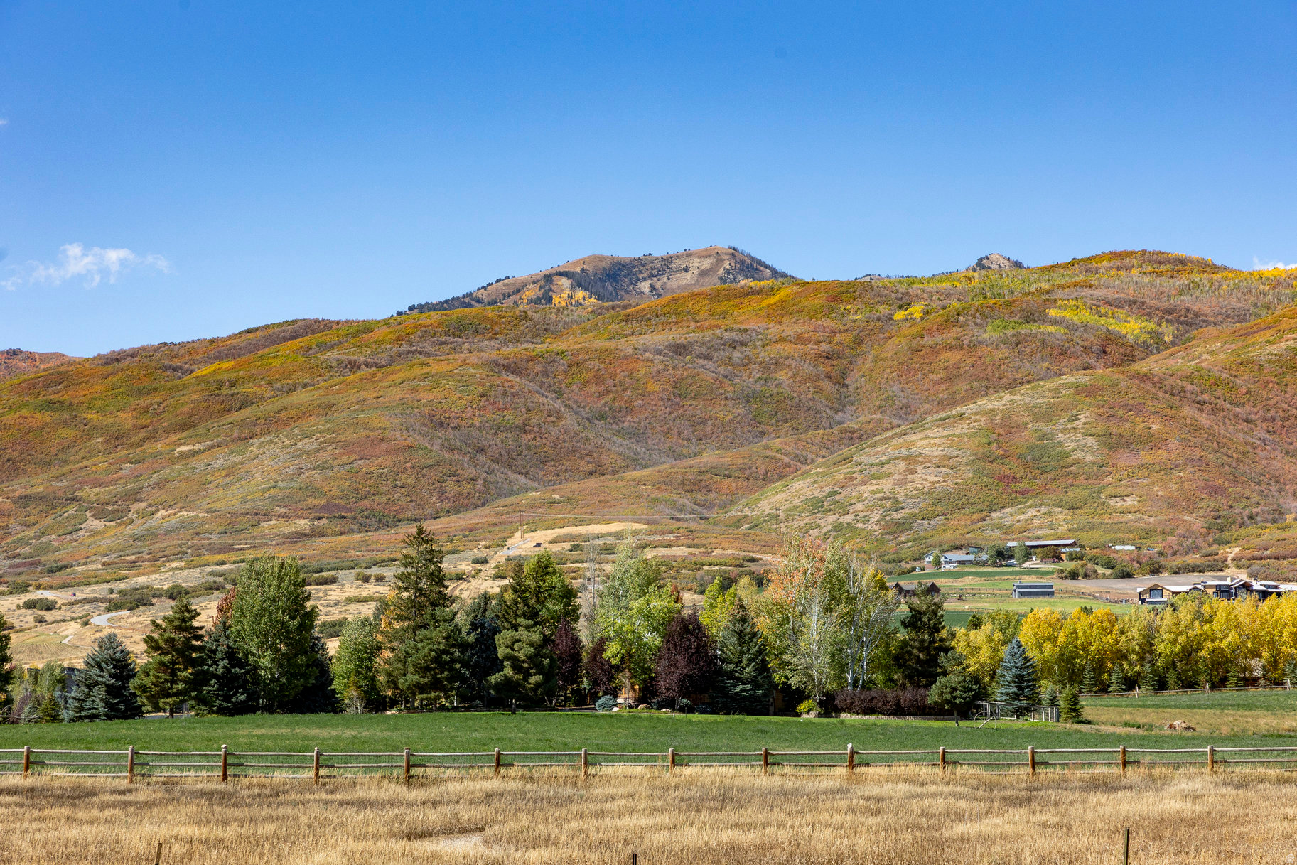 FARMS AT TATE LANE - Land