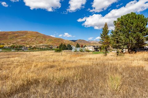 Tiny photo for 1160 S STRINGTOWN RD, Midway, UT 84049 (MLS # 2137258)