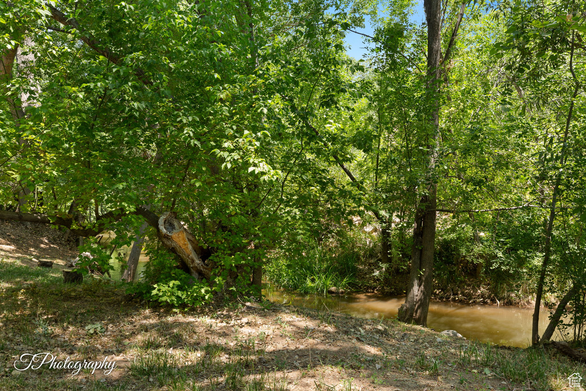 BROOKSIDE ESTATES - Residential