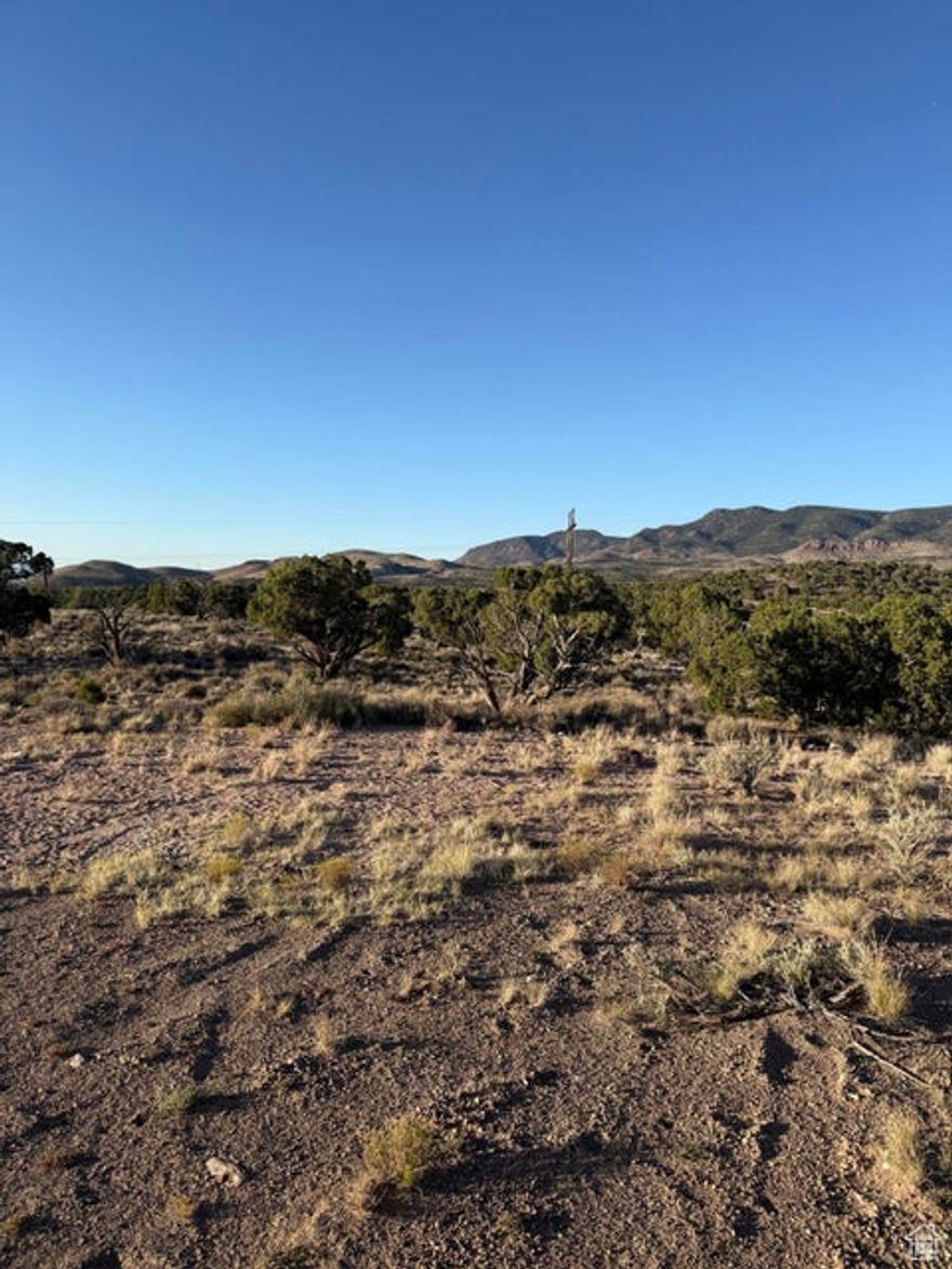 Investors look here! Now is your chance to own 3 beautiful lots equaling 5.63 acres just outside Newcastle Utah. Situated with incredible views of the Beryl Valley, Irrigated fields, and Public Land accessibility right out the back of your property. Improvements include brand new well 580 ft deep, with 1 acre/ft water right. 2 culinary faucets already installed. Power installed through Dixie Power. Build that forever home and enjoy living your dream. 30 minutes from Cedar City, 45 minutes from St George. Beryl also has an elementary for this area. Tax ID#'s: E-1078-000G-0002, E-1078-000G-0001, E-1078-000A-0010. Beryl also has an elementary for this area.