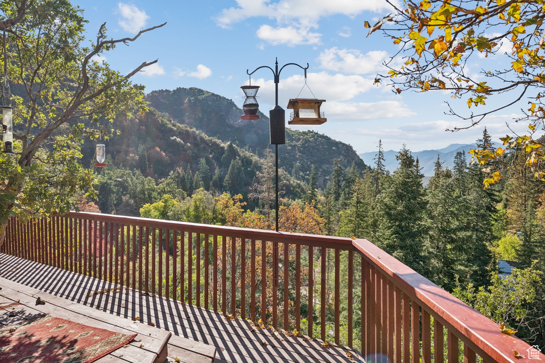 THE GROVES - Residential