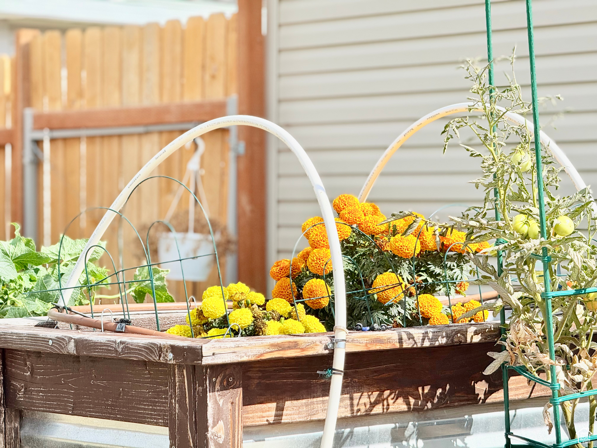 SUNBURST TERRACE PLANNED UNIT DEVELOPMEN - Residential