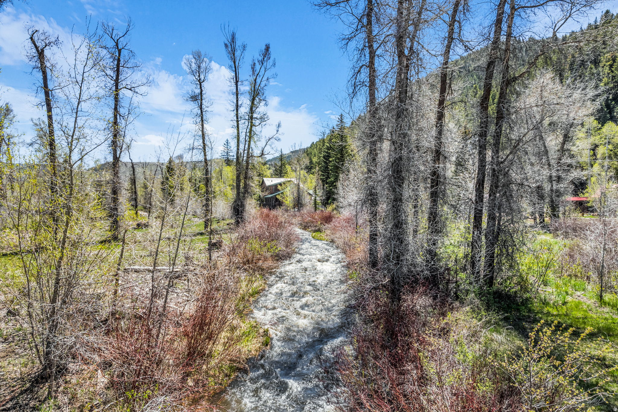 STEWART RANCH PARK - Land