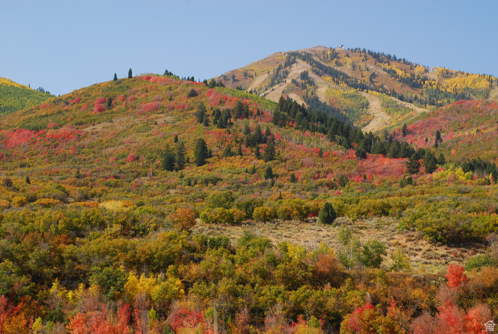 REFLECTION RIDGE - Land