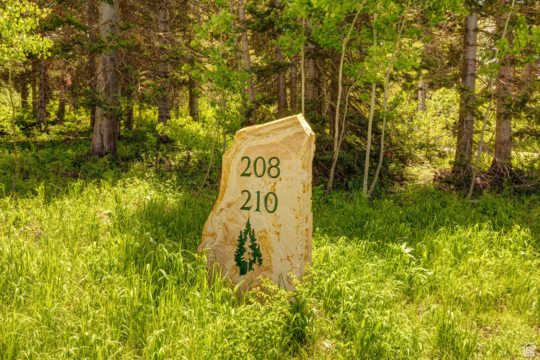 208 White Pine Canyon Rd, Park City, Utah image 25