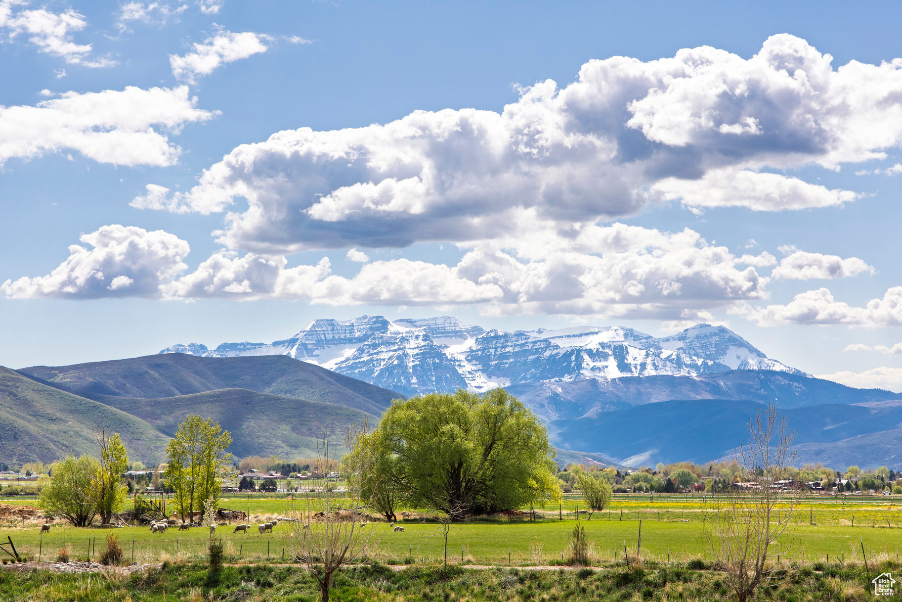 EDEN VALLEY - Residential