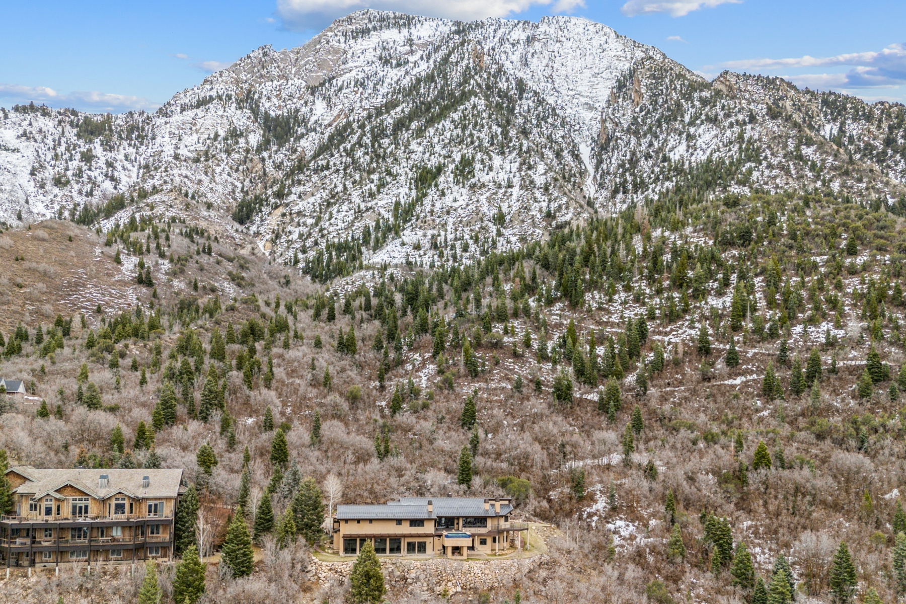 MT. OLYMPUS COVE - Residential