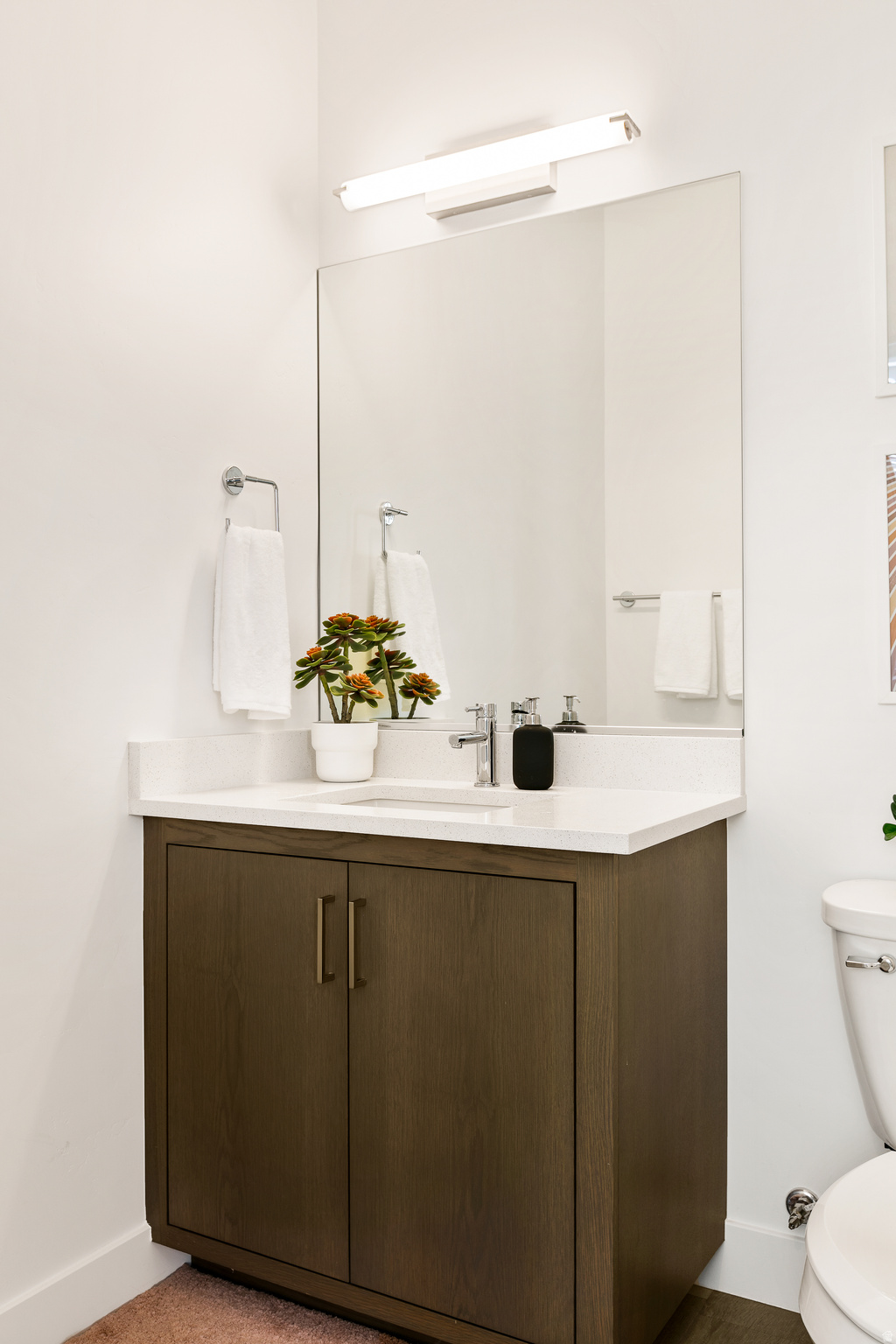 VUE AT GREEN VALLEY - Residential