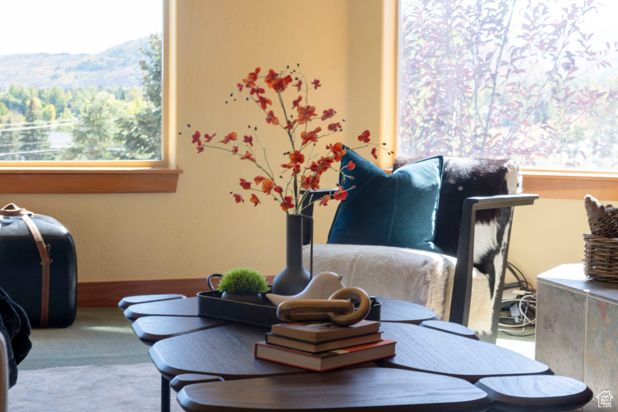 SUN PEAK SUBDIVISION - Residential