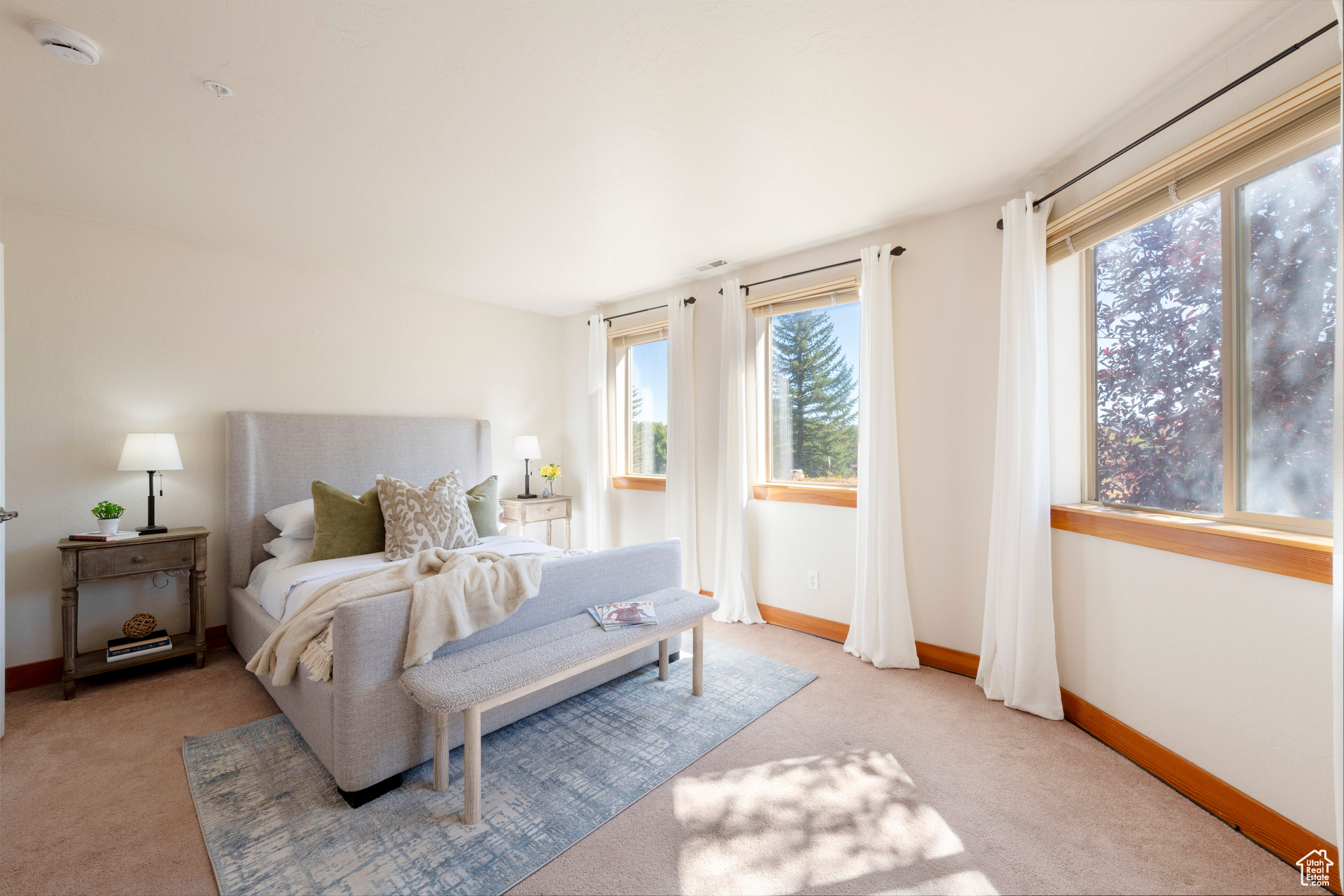 SUN PEAK SUBDIVISION - Residential