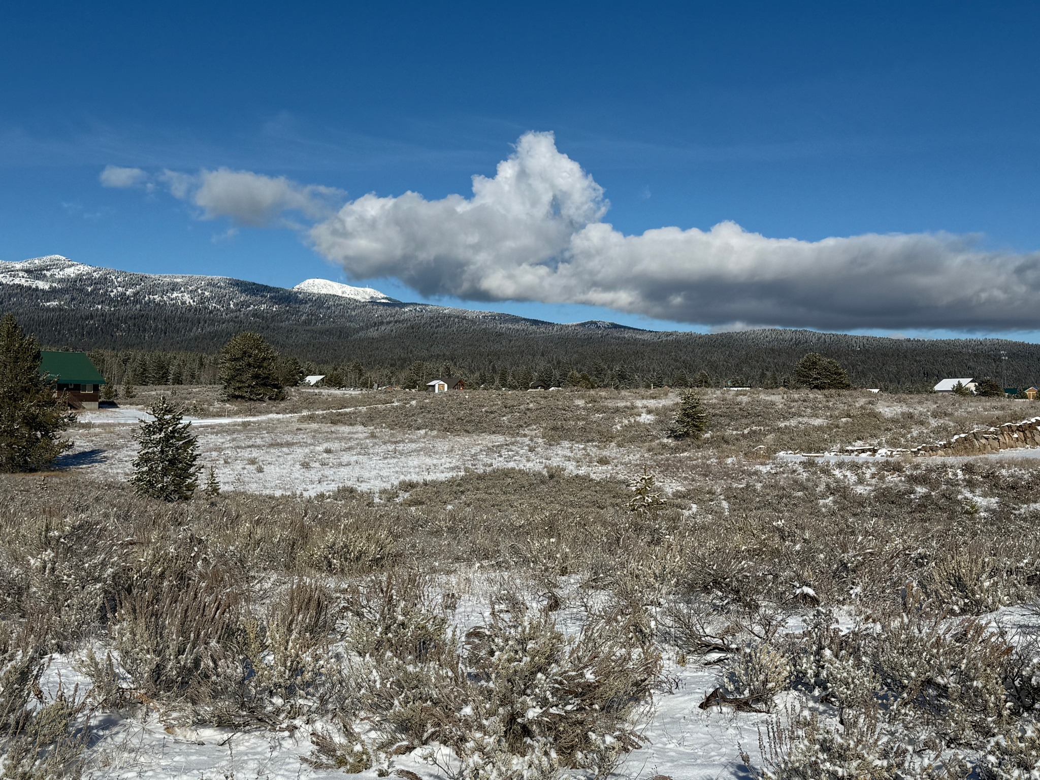 SHOTGUN VILLAGE 10 - Land