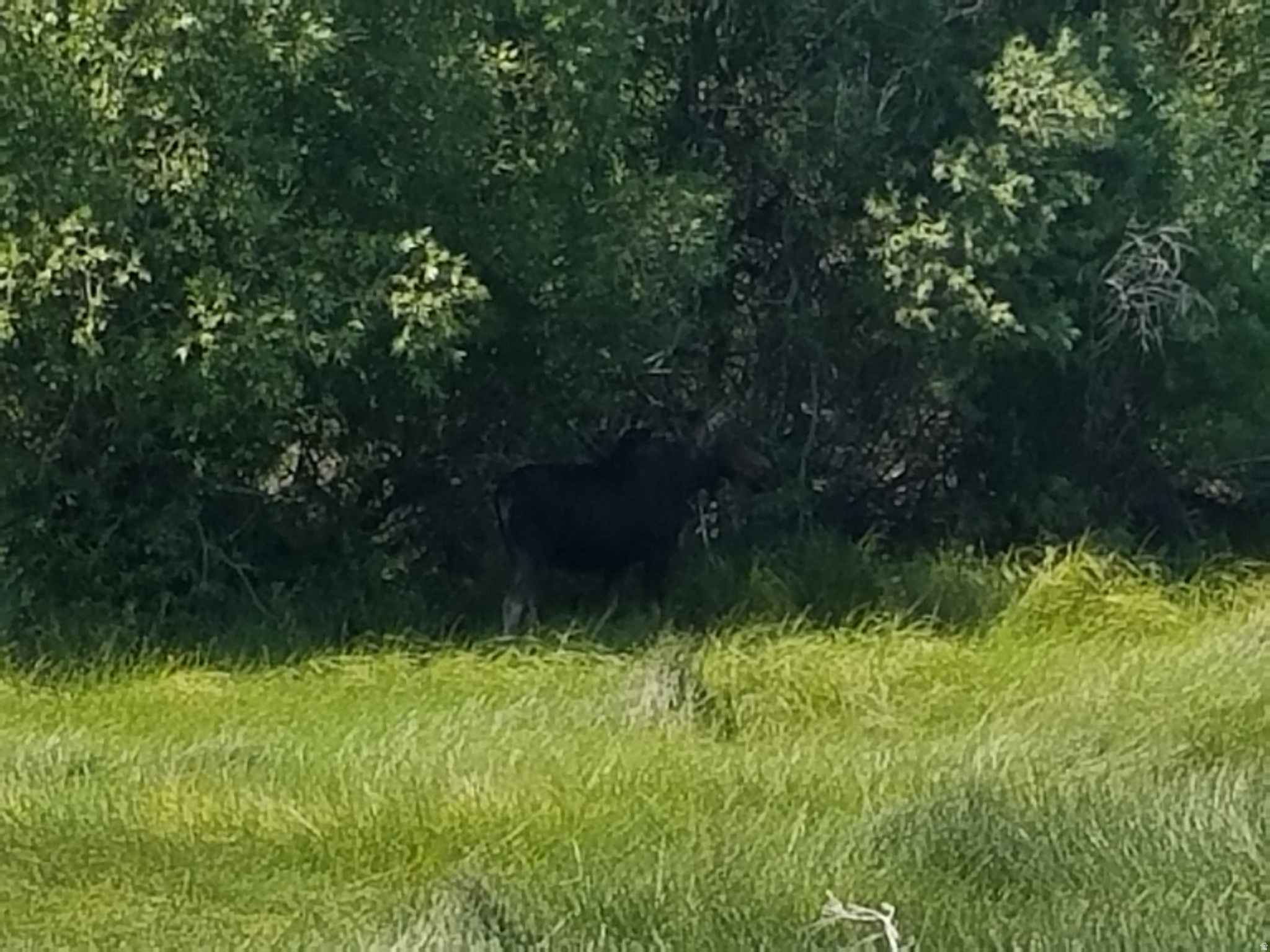 SHOTGUN VILLAGE 10 - Land