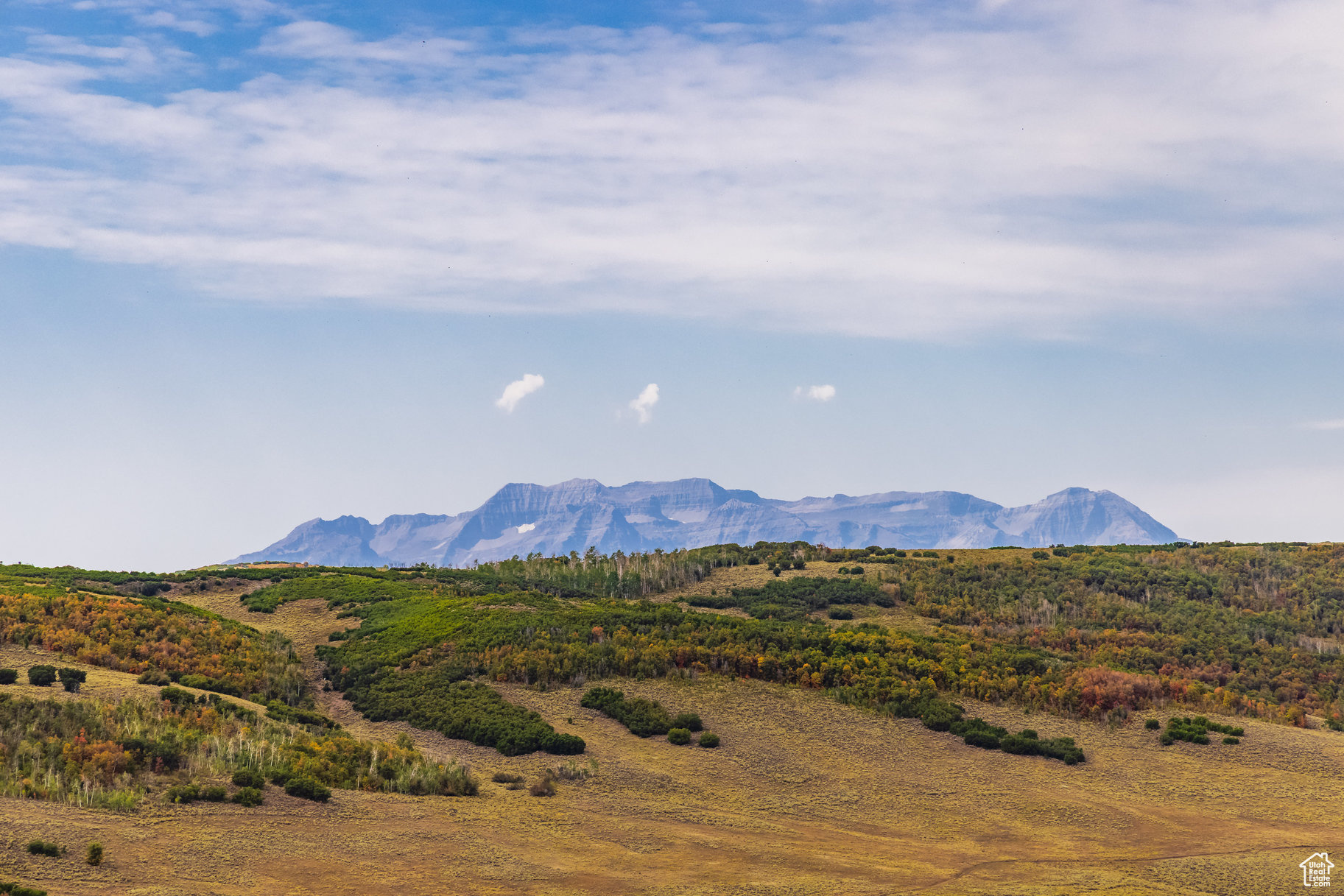 Welcome to one of the most extraordinary parcels at Victory Ranch - a rare 48-acre dream homesite nestled in the heart of nature's grandeur. This is not just land; it's a legacy waiting to be built. Positioned on the most private lot in all of Victory Ranch, this property offers sweeping views of Stony Lake, the Timpanogos, and the vast, untouched backcountry. Multiple building pads provide the flexibility to design your ideal mountain retreat, whether it's a contemporary estate or a timeless family lodge. With a spacious 139,308-square-foot building envelope, you have the canvas to bring your vision to life - with room for every detail, every dream. This is your opportunity to create something truly special: a generational sanctuary that captures panoramic views, year-round beauty, and absolute privacy. Overlooking Victory Ranch's remarkable 3,500-acre backcountry, you'll have direct access to an outdoor playground like no other. The backcountry offers a plethora of activities for outdoor enthusiasts. You can explore extensive trails, embark on Ranger or snowmobile adventures, test your archery and skeet shooting skills, and even spend a night at the yurt campsite. For those who love the water, a short walk will lead you to Stony Lake, where you can paddleboard, kayak, and bumper boat in the summer or enjoy ice fishing in the winter. Victory Ranch is a private, four-season gated community sprawling across 6,250 pristine acres along the picturesque Upper Provo River. Amenities include an 18-hole Rees Jones golf course, world-class fly-fishing, 30+ miles of mountain biking and hiking trails, a 5-stand shooting facility, 4x4 adventures, snowmobiles, backcountry yurts, fishing ponds, multiple restaurants, and a ski-in/ski-out lodge in Park City. The Post Clubhouse adds a touch of luxury with a concierge, lounge, year-round pool, hot tubs, and outfitter store. The Barn Clubhouse features a Pizza and Ice Cream Parlor, an Art Studio, a Game Room, an Indoor Basketball and Sport Court, a Fitness Center, Spa, and Platform Tennis Courts. All will delight in the swimming pool, waterslide, tranquil stream, pond, tennis courts, brand-new pickleball courts, and event lawn for endless hours of fun and relaxation. The new Golf Clubhouse restaurant, event space, simulator, and pro-shop are now open. Located just 15 minutes from Deer Valley and 25 minutes from the vibrant heart of Park City. Don't miss this unique opportunity to own a piece of Victory Ranch's unparalleled natural beauty and luxurious living. Create your own mountain sanctuary on this 48-acre homesite, where the possibilities are as vast as the views. As a resident of Victory Ranch, you're not just acquiring land; you're securing a lifestyle.